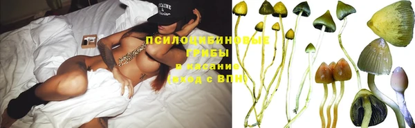 метадон Абаза