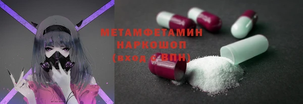 индика Переславль-Залесский