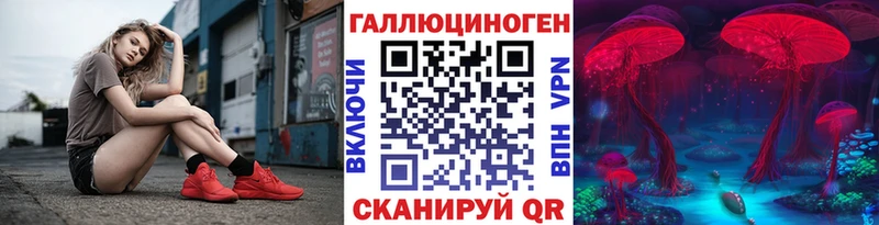 Псилоцибиновые грибы GOLDEN TEACHER  купить наркотики цена  Камень-на-Оби 
