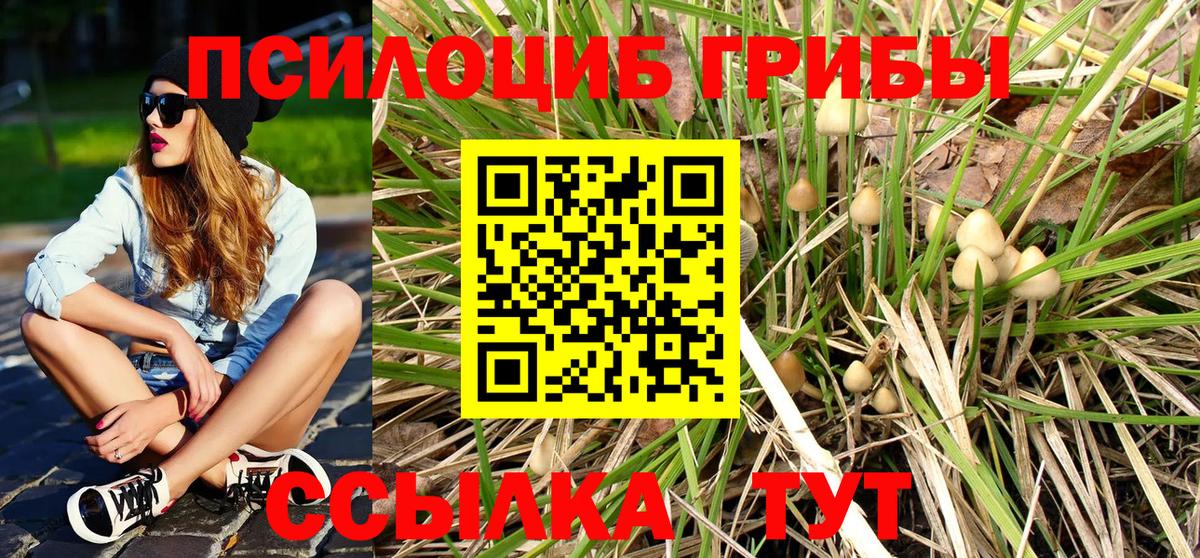 Псилоцибиновые грибы MAGIC MUSHROOMS Камень-на-Оби