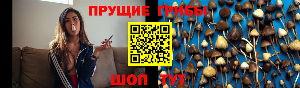 Камень-на-Оби  купить наркотики сайты  Вход с VPN  Псилоцибиновые грибы мухоморы 